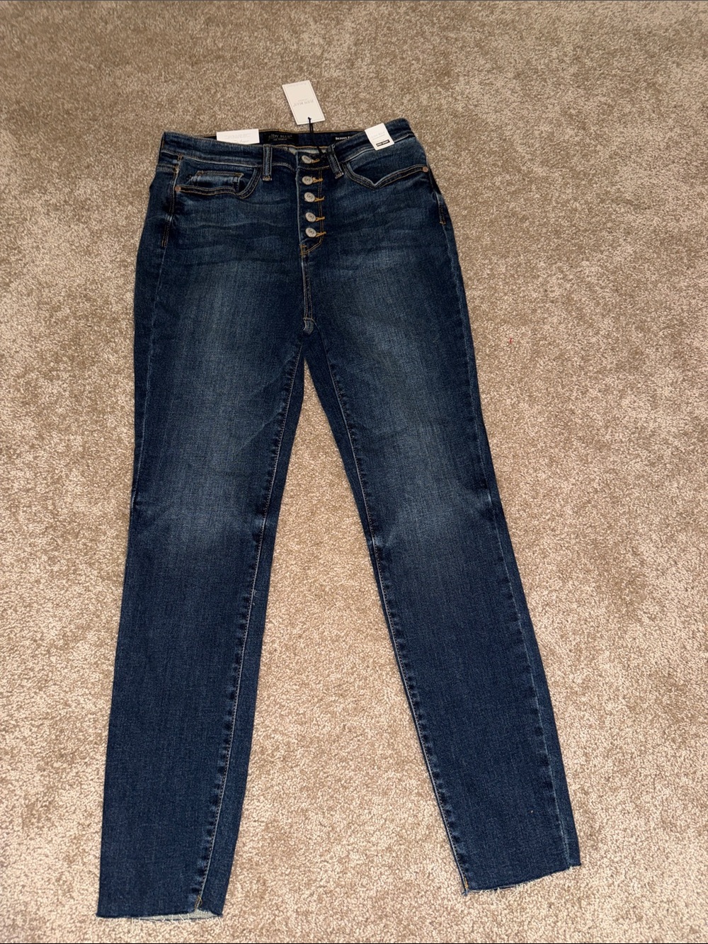 Judy Blue Dark Wash High-Rise Skinny Jeans with Button-Fly 11/30 NWT